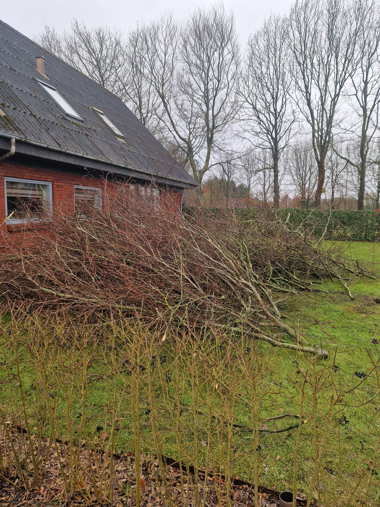 Grene samlet til oprydning ved hus og have